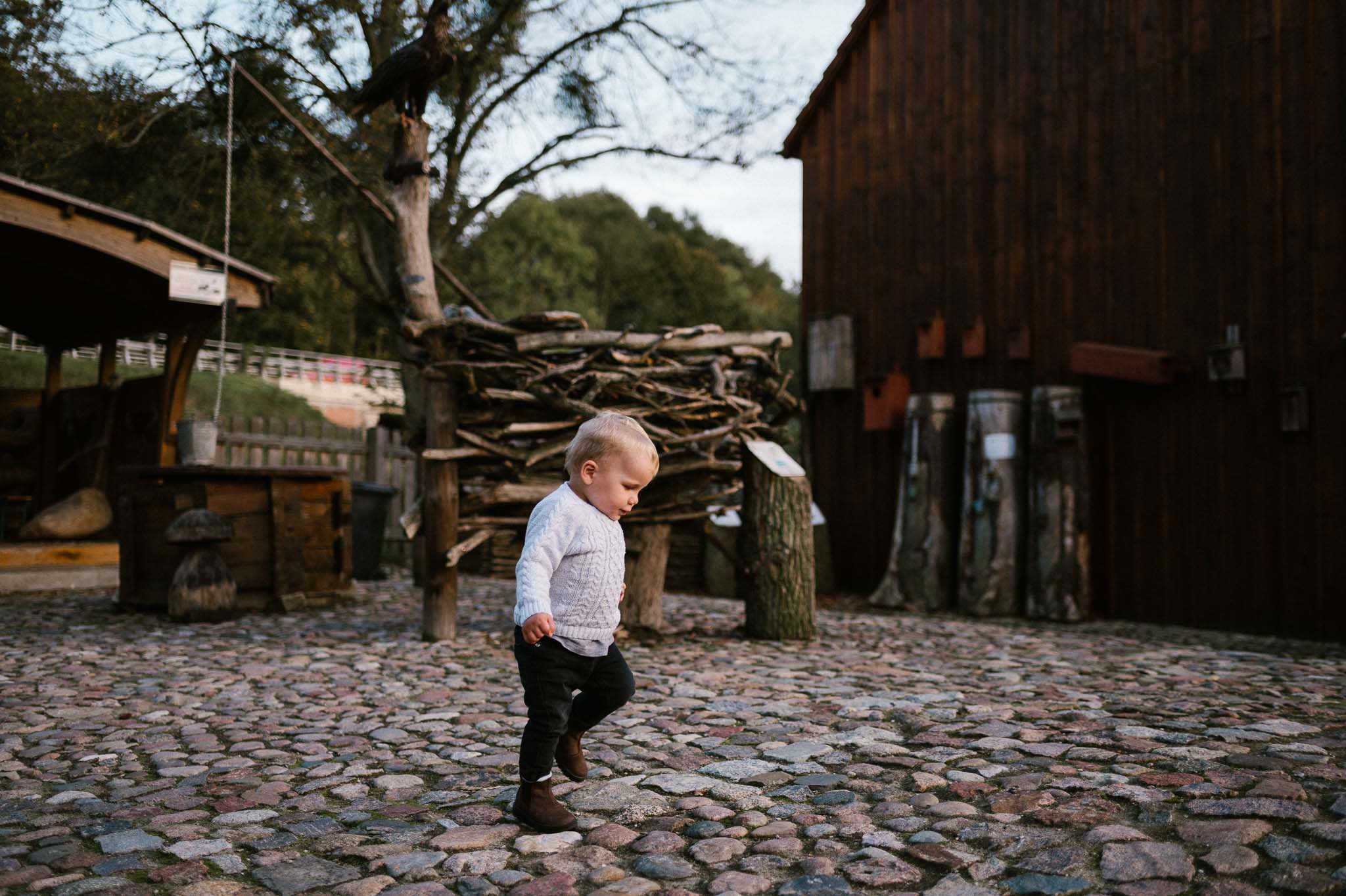 Chłopiec idzie sam po kostce brukowej - jesienna sesja rodzinna w plenerze Poznań